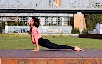 Upward Facing Dog • Urdva Mukha Svanasana • Der aufwärts schauende Hund